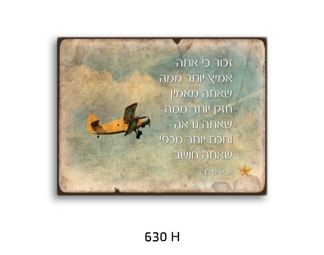 תמונת השראה א. מילן מטוס רטרו 630H