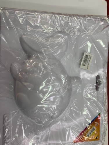 תבנית גבס דג