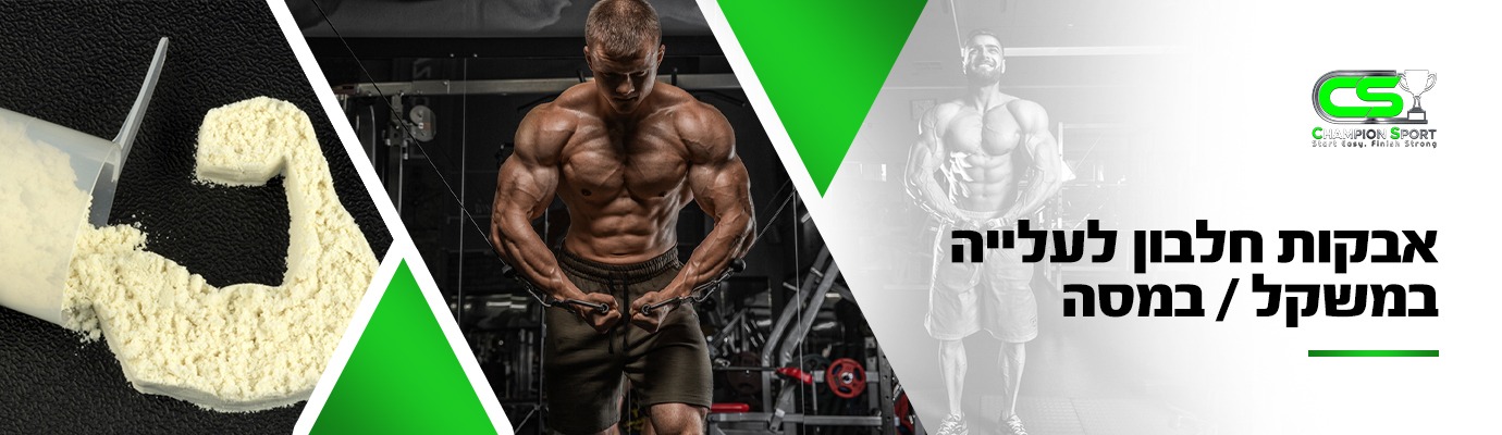 אבקות חלבון מי גבינה| WHEY - CHAMPION SPORT