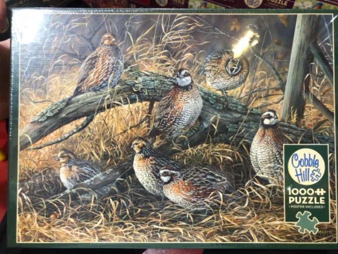 פאזל ציפורים 1000 חלקים