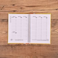 יומן דלי'ס רוני צהוב