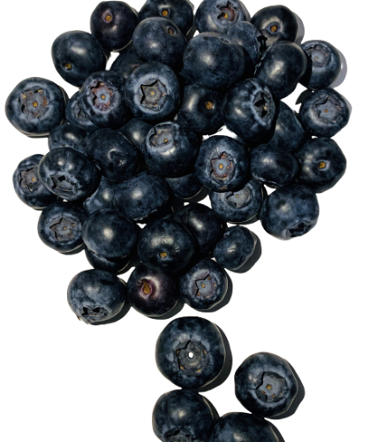 אוכמניות טריות 150 גרם ארוז ייבוא