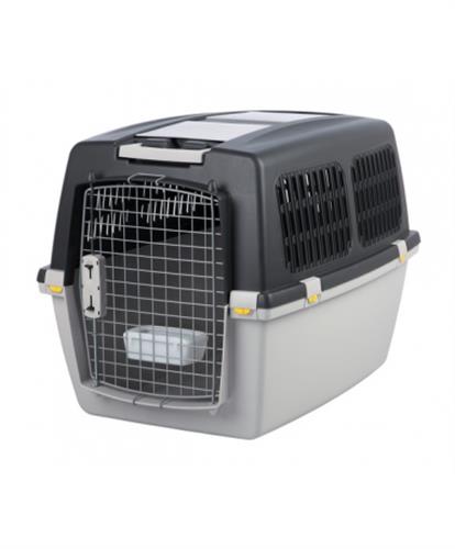 גוליבר 4 TRIXIE