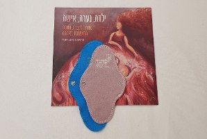 ערכת נערות הכוללת 6 תחבושות ב3 דרגות ספיגה שונות ומדריך לקבלת הווסת באהבה