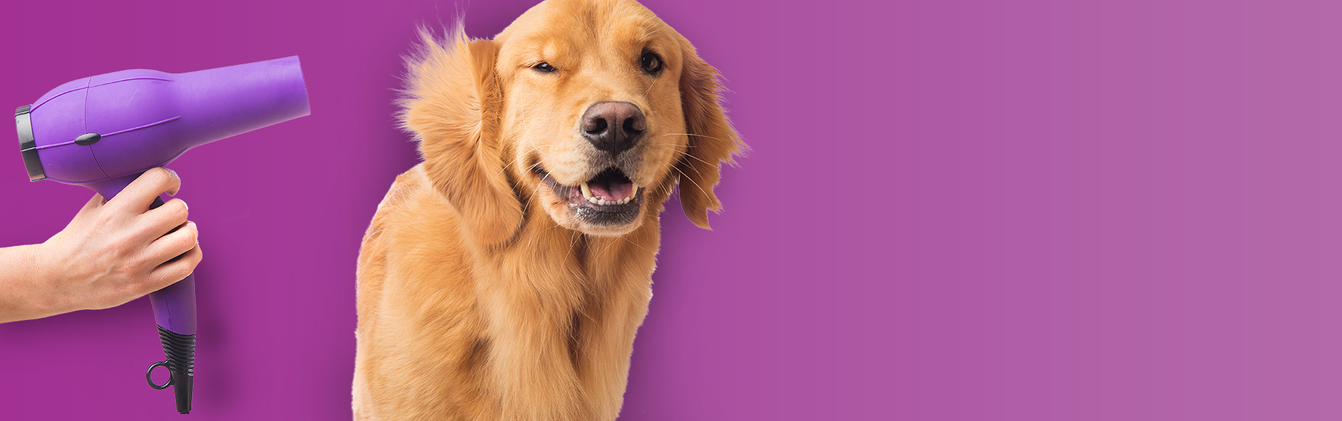 מוצרי טיפוח ( שמפו, מסרקים וכו) - יוגי-בר