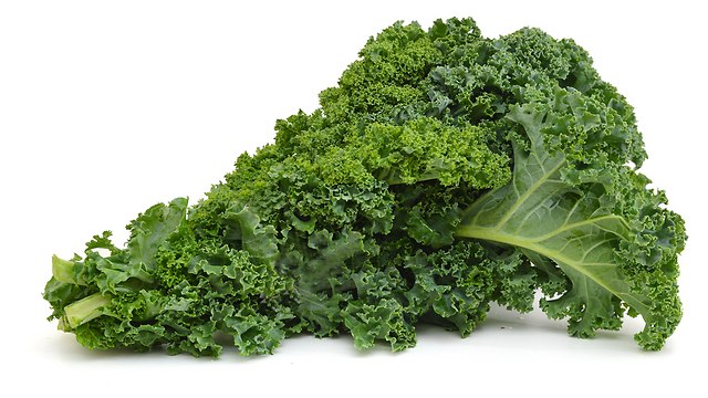 עלי קייל הידרופוני (מכפר הנוער זוהרים) 100 גרם