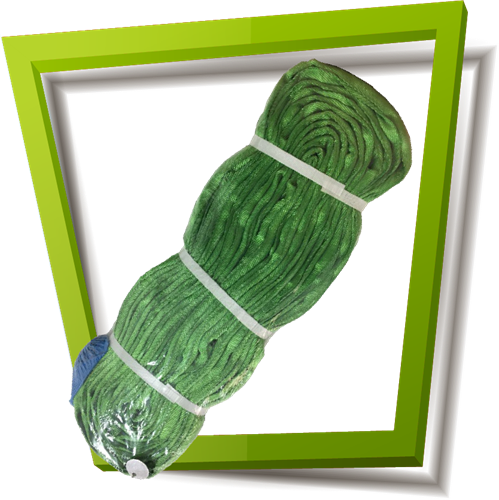 רצועת הרמה מרופדת 5מ'