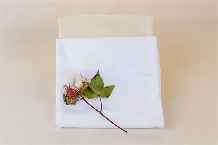 חיתולים מכותנה אורגנית (כמו חיתולי טטרה)