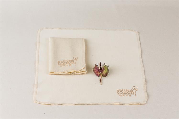 מגבונים רב פעמיים מכותנה אורגנית - 6 יחידות