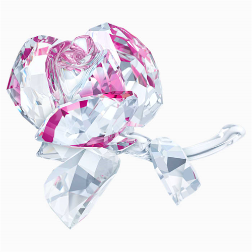 קריסטל SWAROVSKI  BLOSSOMING ROSE