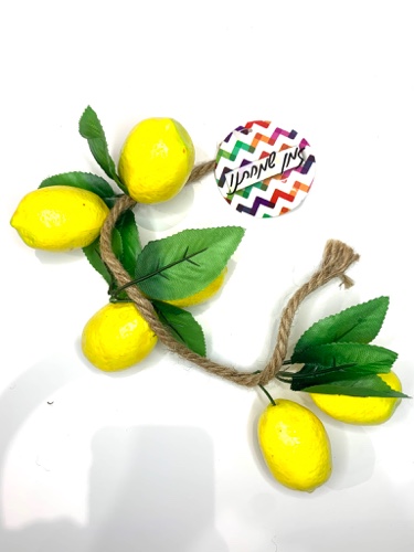 חבל אתרוג בייסיק 3 זוגות