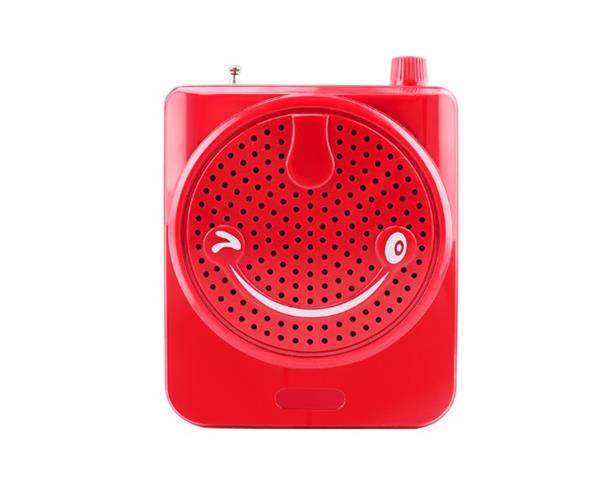 רמקול נייד מדונה+מיקרופון