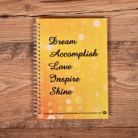 יומן דלי'ס רוני צהוב