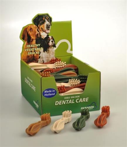 זוג מברשות שיניים דנטליים גדולים