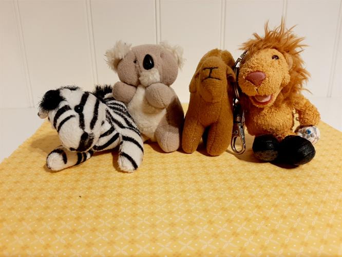 חיות קטנות מבד אריה,גמל מהמם,קואלה וזברה