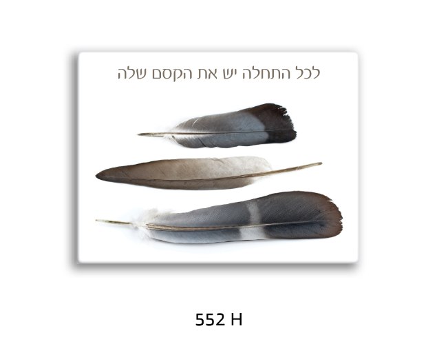 תמונת השראה נוצות רוחבי - דגם 552H
