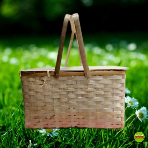 מזוודת פיקניק חומה קטנה