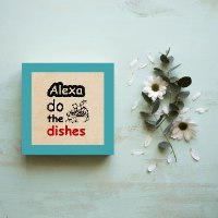 Alexa do the dishes