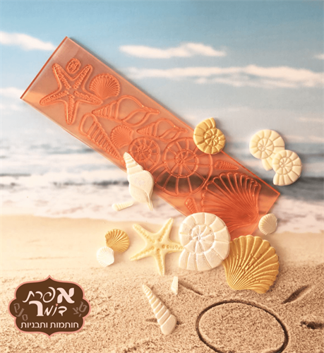 תבנית צדפות