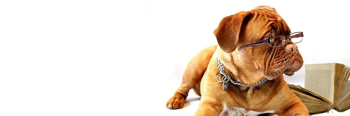 אביזרי הולכה - יוגי-בר