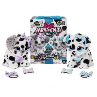 גור בהפתעה פרזנט פטס - דלמטי