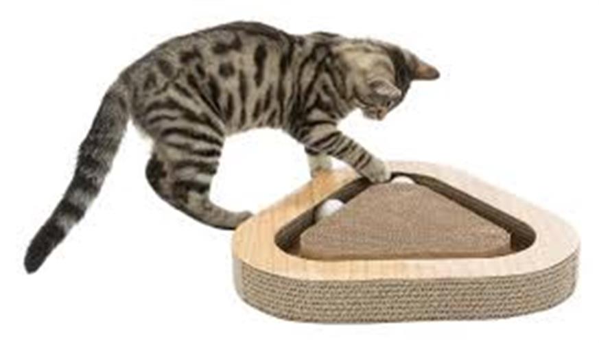 קרטון גירוד עם כדור TRIXIE