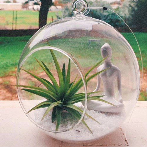 כדור זכוכית ״יוגה״