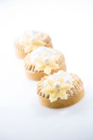 30 יח' פנינה לבנה  DOBLA