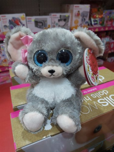 בובת עיניים אפורה