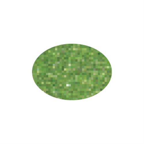 סול ירוק נוצץ 50X70 ס"מ