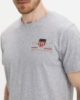 טי שרט GANT צבע אפור