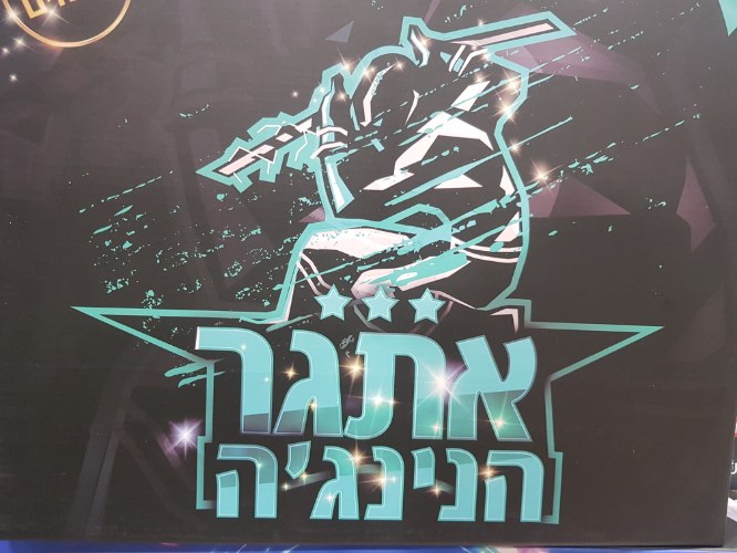 אתגר הנינג'ה