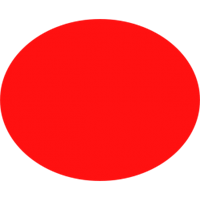 פוליגל אדום