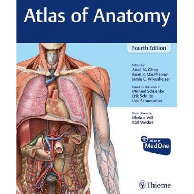 Gilroy - Atlas of Anatomy 4th edition - קטלוג | ידע ספרים
