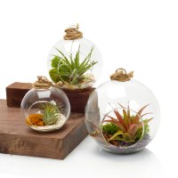 קומבינציית 3 גדלים שונים +שפריצר מתנה (משמש לתלייה ומעמד)