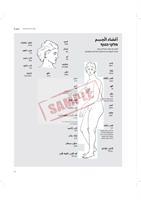 כלימאת - ספר ללימוד עצמי של ערבית מדוברת מותאם לרופאים וצוותים רפואיים כולל קריאה וכתיבה בערבית