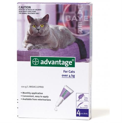 אמפולות אדונטג' חתול מעל 4 ק"ג