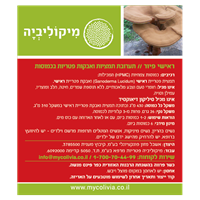 -- ראישי פיור - REISHI PURE -- מכיל 60 כמוסות צמחיות HPMC, מיקוליביה