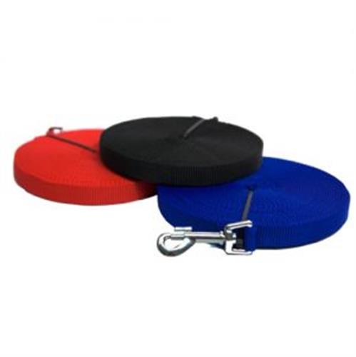 רצועת אילוף 10 מטר