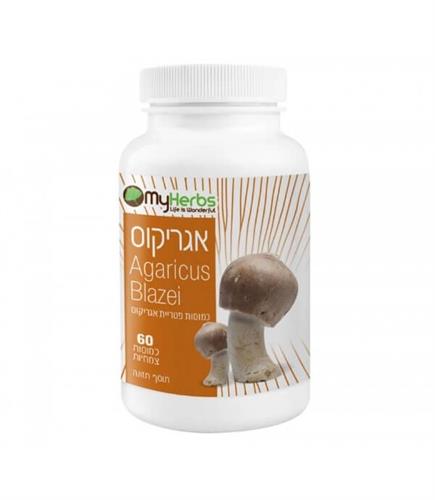 אגריקוס - AGARICUS