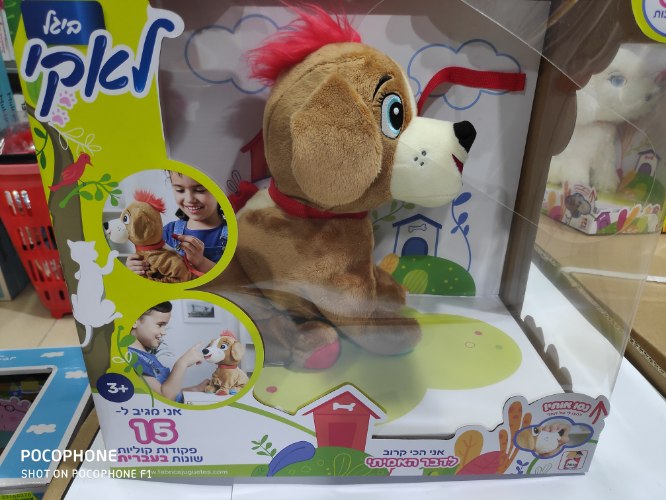 ביגל לאקי אינטראקטיבי