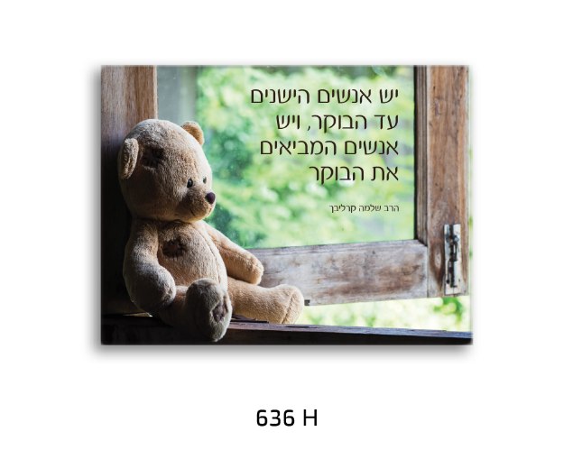 תמונת השראה דובי בחלון  - דגם 636H