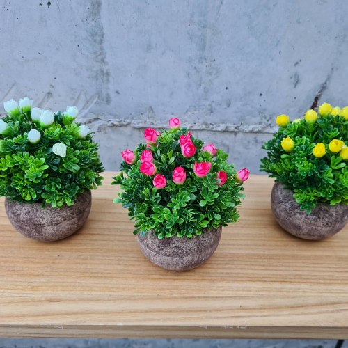 עציץ קוקוס עגול ורדים