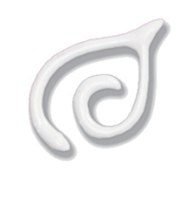 טוליפ לבד 25301 -  WHITE SHINY