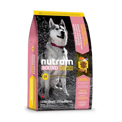 נוטרם כלב בוגר כבש 13.6 ק"ג S9