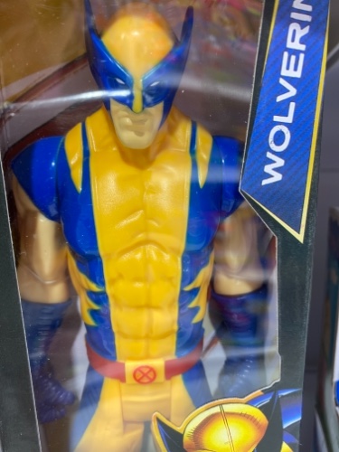 דמות וולבורין