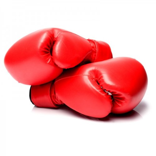 כפפות איגרוף