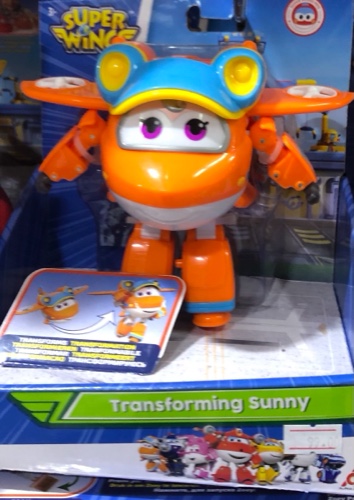 מטוסי על - סאני