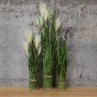 זר טורמוס נמוך