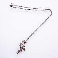 שרשרת פלמינגו